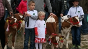 Święto Mleka