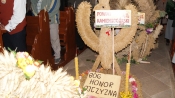 Dożynki Wojewódzkie