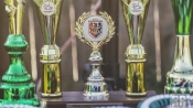 Liga Zaprzęgowa