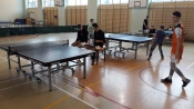 tenis