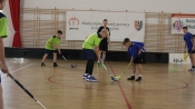 Unihokej