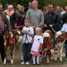 aktualność