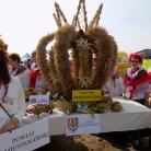 aktualność