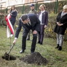 aktualność