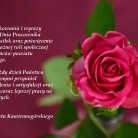 aktualność